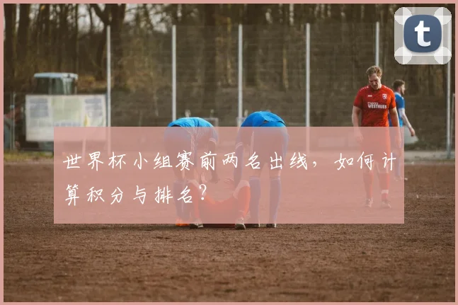 世界杯小组赛前两名出线,如何计算积分与排名?