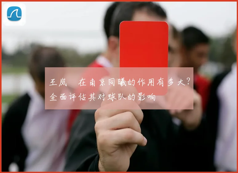 王岚嵚在南京同曦的作用有多大？全面评估其对球队的影响