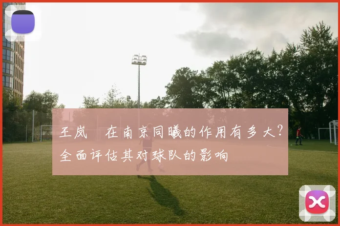 王岚嵚在南京同曦的作用有多大？全面评估其对球队的影响